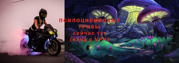 эйфоретик Верея