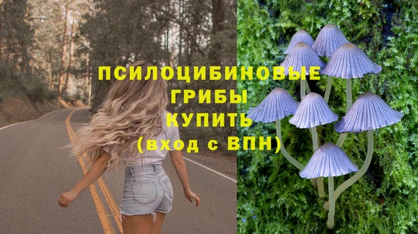 a pvp Бородино